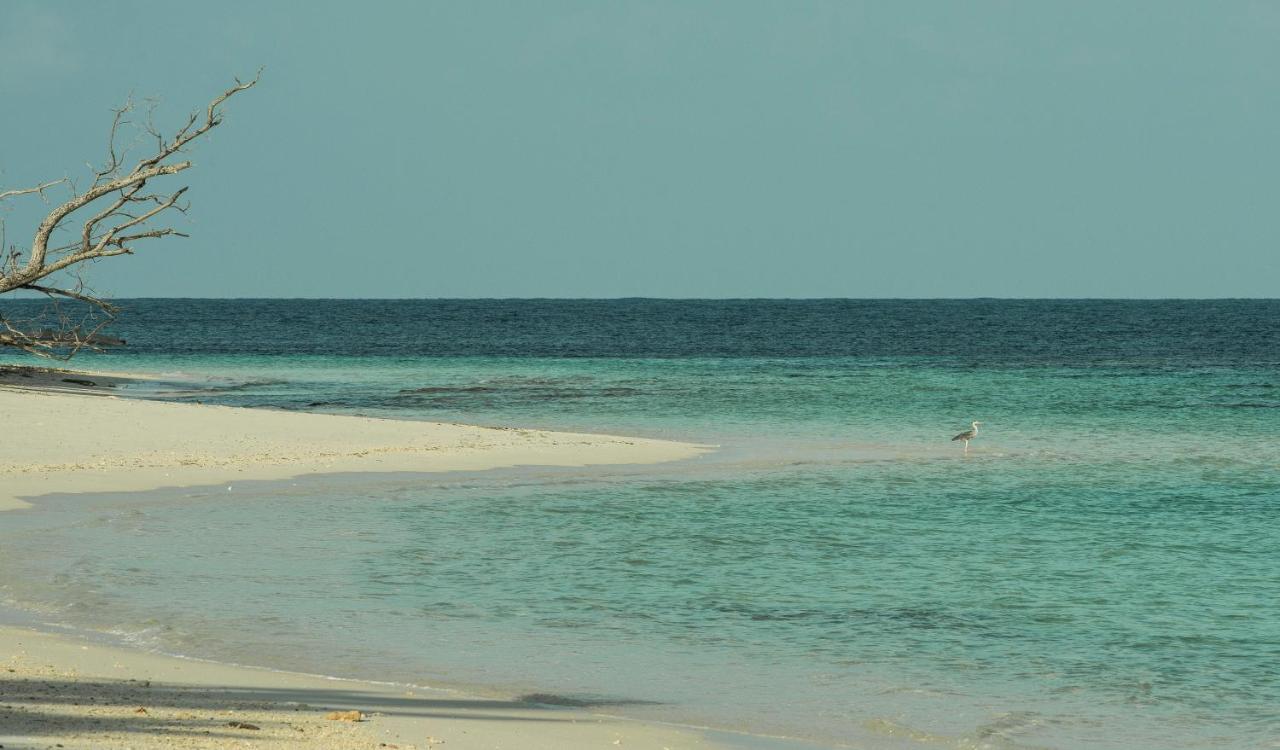 Four Seasons Resort Seychelles At Desroches Island Dış mekan fotoğraf